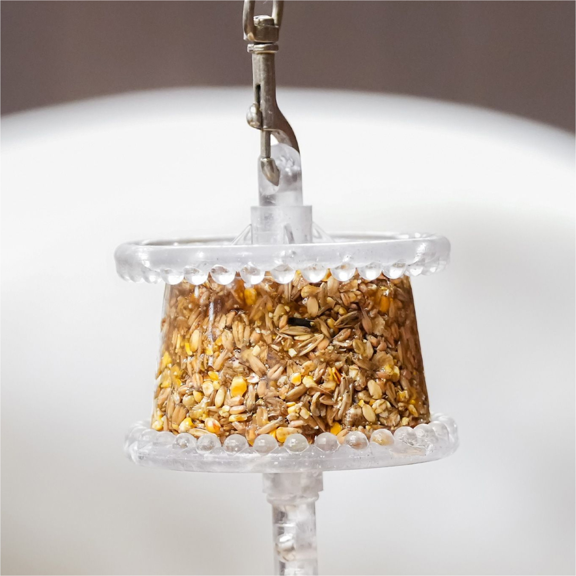 2026 Likit Halter 1561102 - Clear Glitter